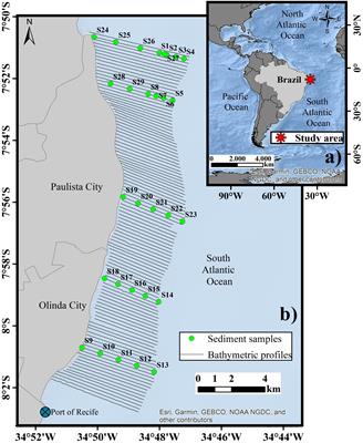 Geomorphological Classification of the Benthic Structures on a Tropical Continental Shelf